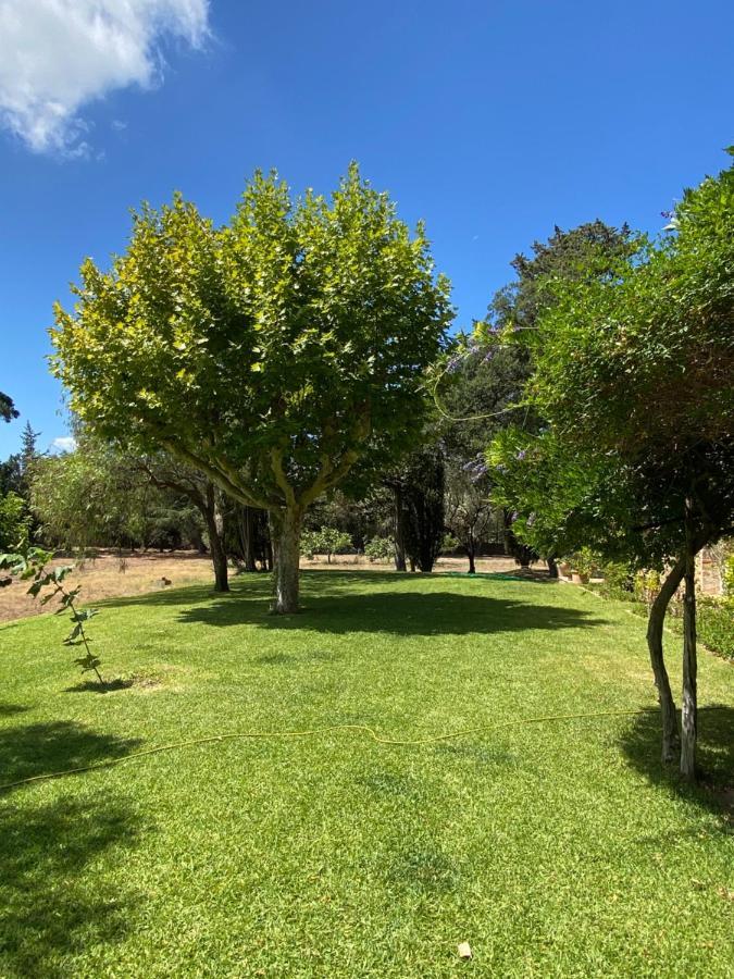 Villa Provencale Familiale Avec Piscine Grimaud Εξωτερικό φωτογραφία